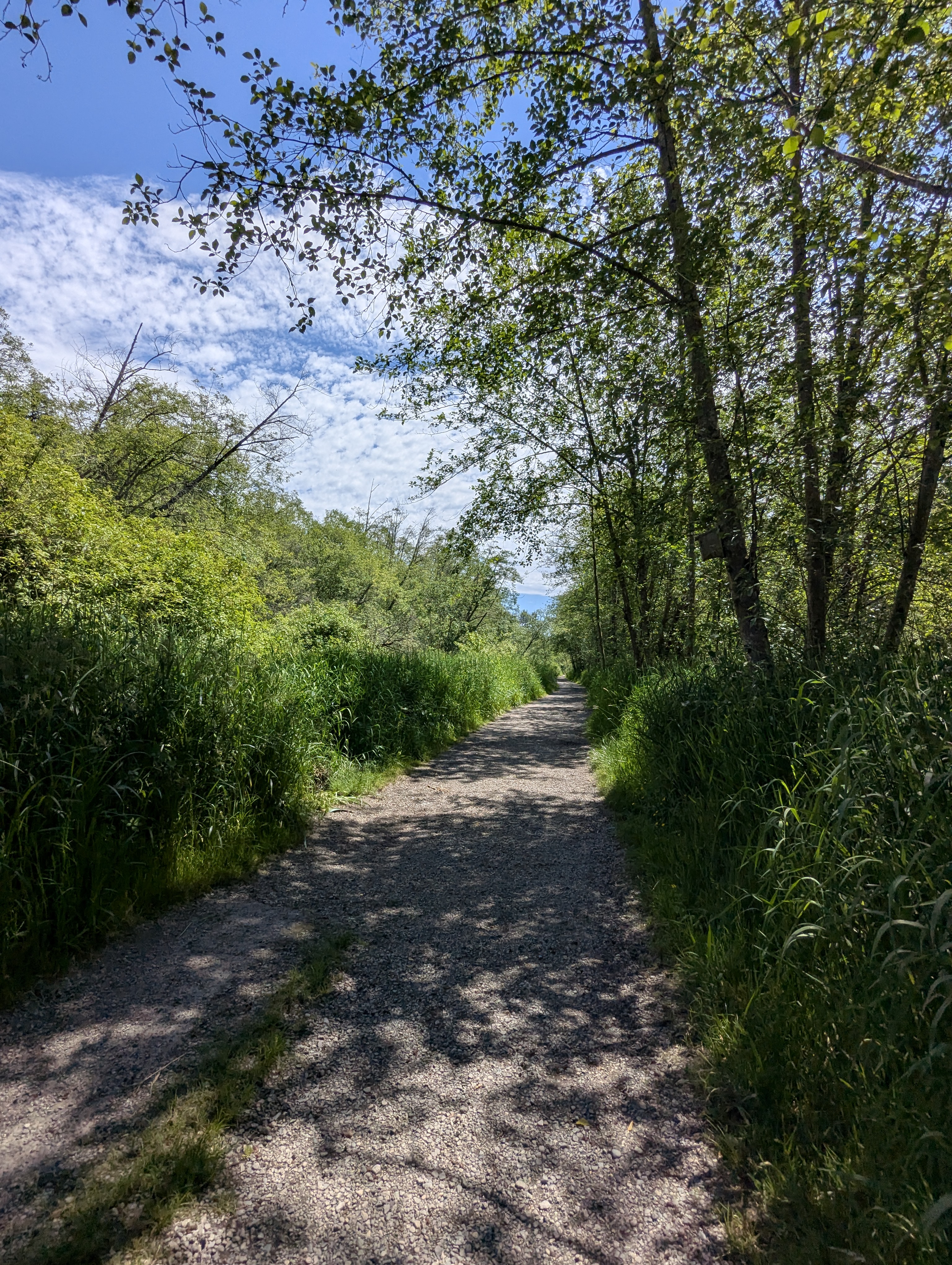 Birthday Trip to Canada, Delta, Burns Bog, Vancouver, British Columbia